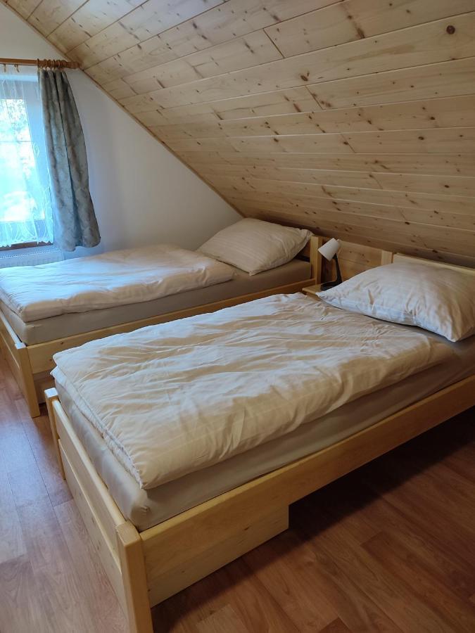 Niki Проживание в семье Рокицани